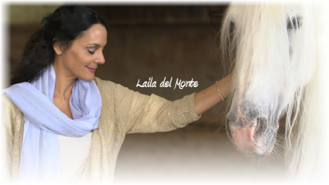Laila_cheval_blanc