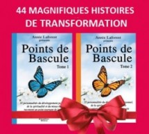GRANDE NOUVELLE ! Les livres «Points de bascule» Tome 1 et 2 sont maintenant disponibles dans toutes les bonnes librairies au Québec